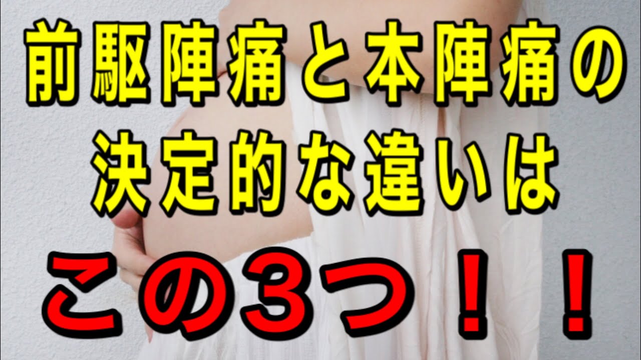 jr 東日本 定期 券 の 払い戻し