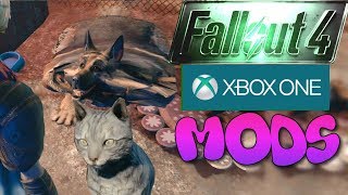 Fallout 4 (Xbox One) Mods - Rafe the Giant Cat & Thicc Dogmeat