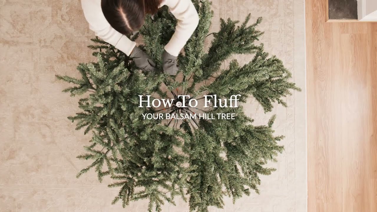 How to Fluff Your Balsam Hill® Tree