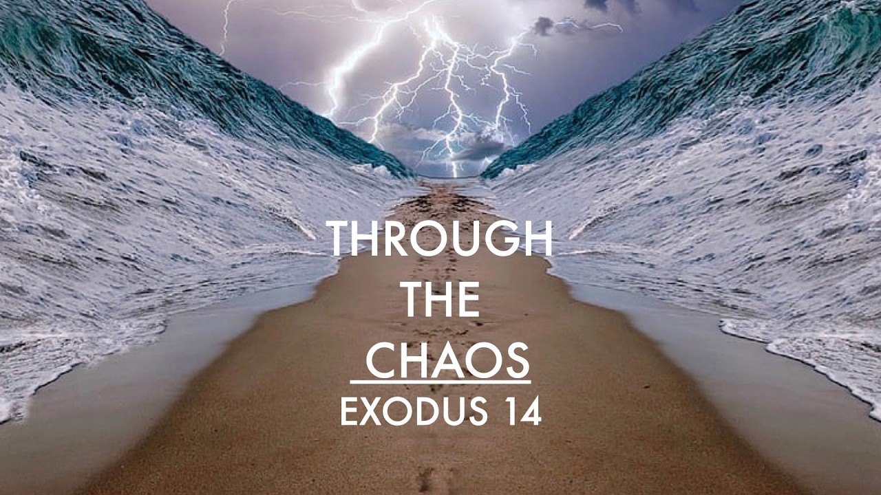 Through The Chaos
