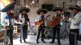 Serenata a la niña AISHA