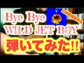 【LINDBERG】【弾いてみた】Bye Bye WILD JET BOY