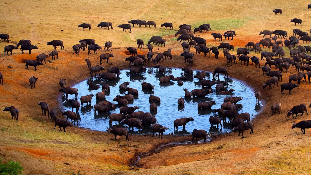 [Wikipedia] Tyvak Nano-Satellite Systems