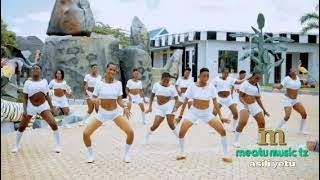 NELEMI MBASANDO SONG NG'WANA CHALE 2025 BY MEATU MUSIC TZ 