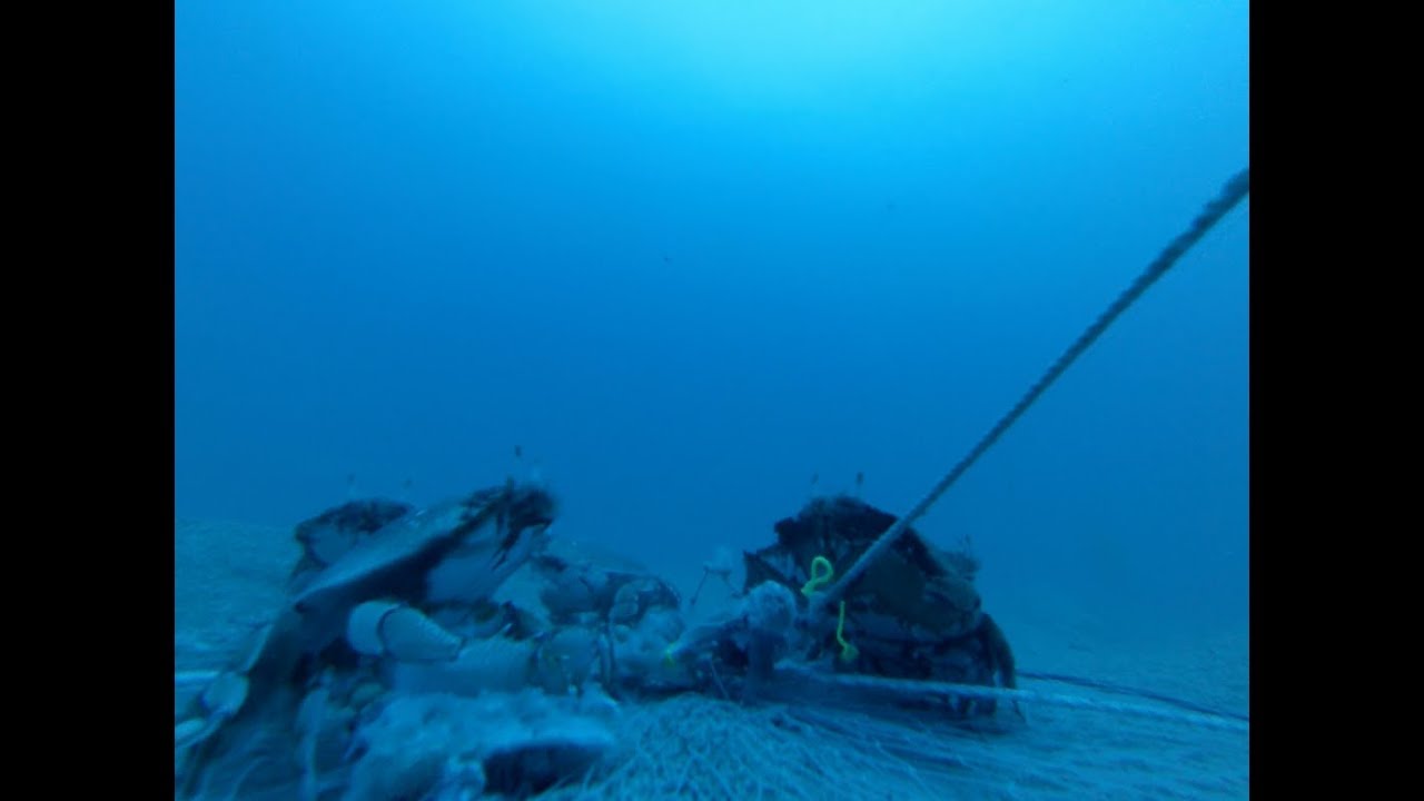 GO PRO POV Kona Crab Hawaii