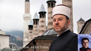 Video thumbnail of "Mensur Malkić - Nad kevserom tuba lišće (Audio 1999)"