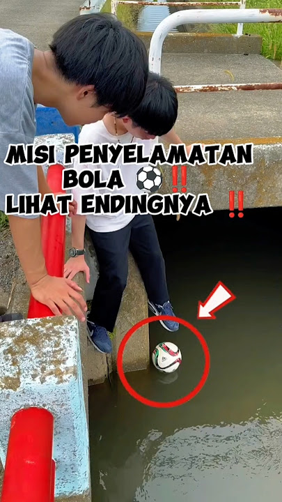Ball Rescue Mission‼️#uniquefacts #funny #facts #comedy #viralvideo #shorts #amandamanopo