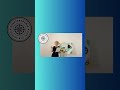 5 - Fehler: Kunstmappe Beispiele #228