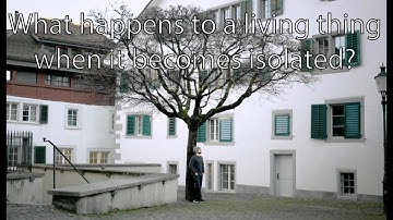 Disconnected - Dendrophilia - ESFH Zurich 2019