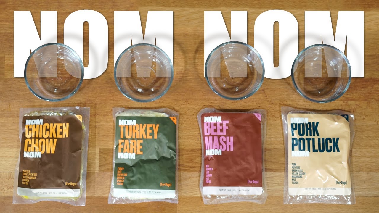 Nom Nom Dog Food Review: Taste Test 