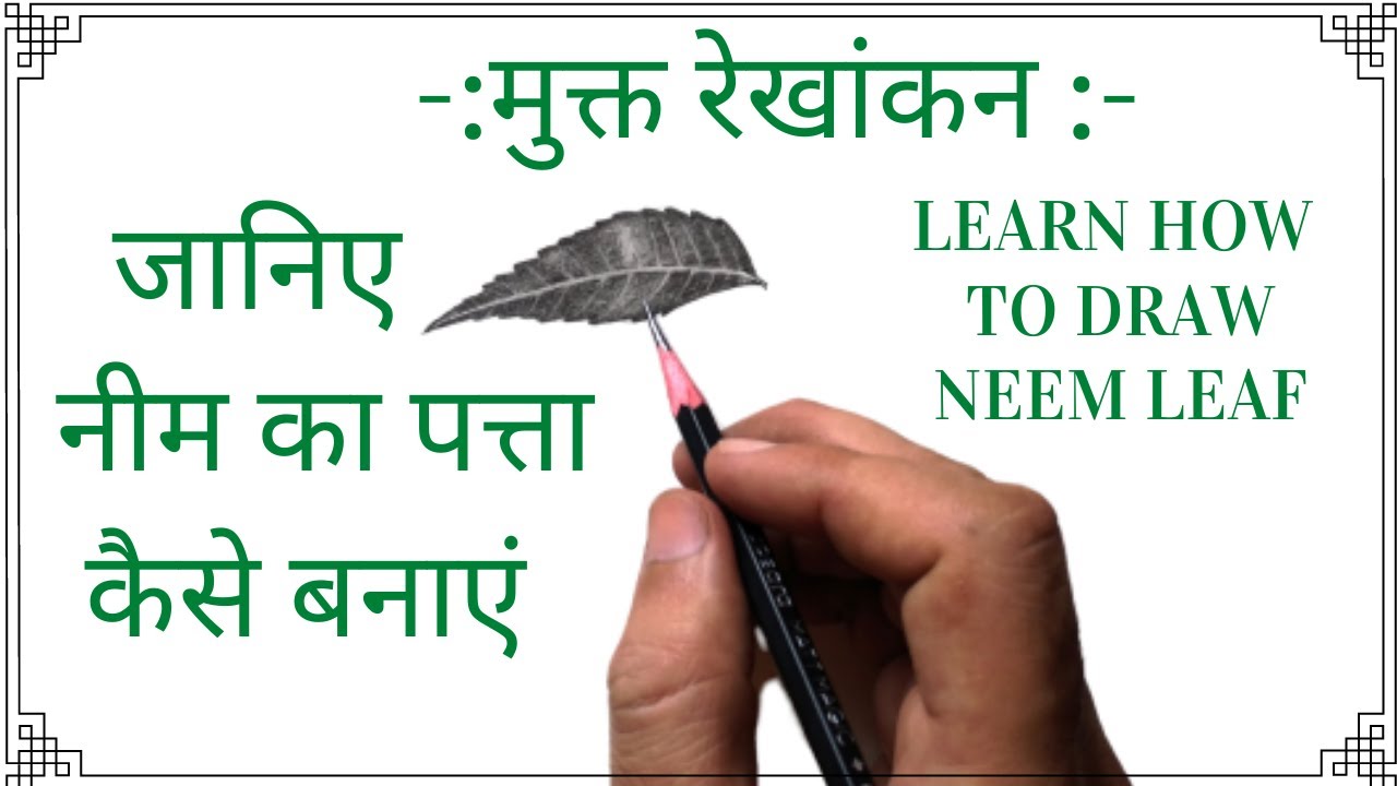 #नीम_का_पत्ता_कैसे_बनाये#How_to_draw_a_neem_leaf_step_by_step - YouTube