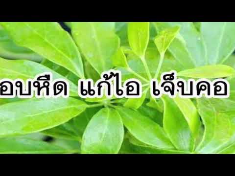 ปราบชมพูทวีป หนุมานประสานกาย