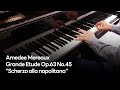 Amedee Mereaux - Grande Etude Op.63 No.45 "Scherzo alla napolitana"