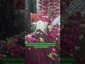 Mira Datar Dargah Sharif Gujarat her problem solve hota hai contact number+919601263995