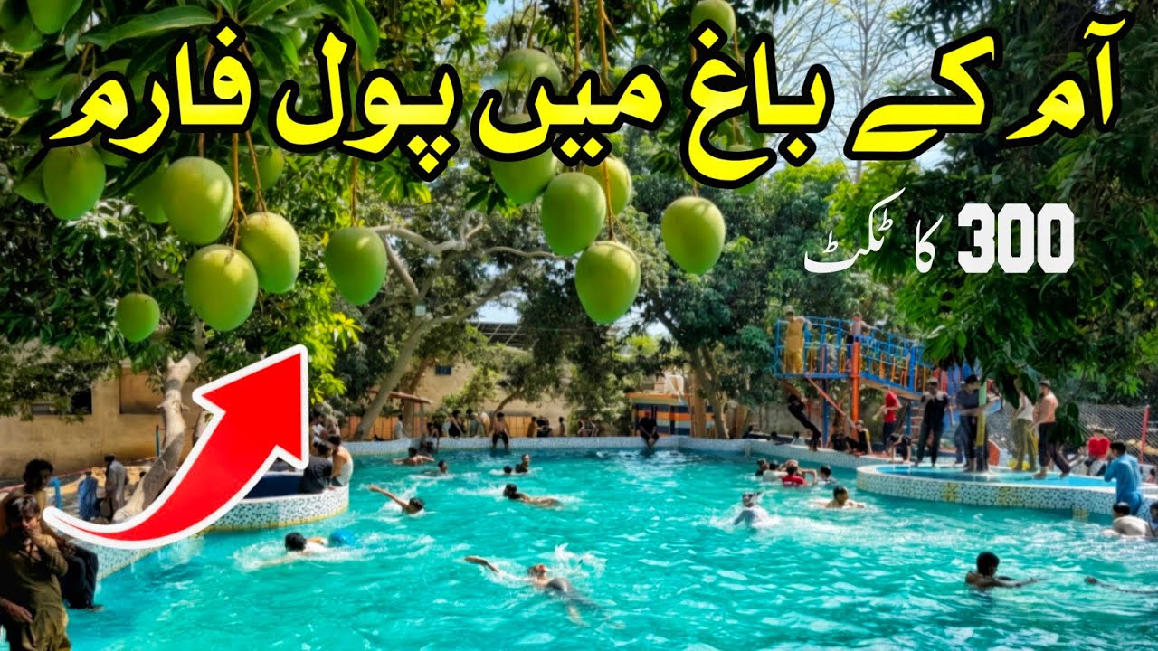 Pool Farm In Mango Orchard | A Perfect Summer Gateway 