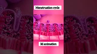 mensuration cycle / fertilization has not done /3d animation medical 3d humanbody shortvideo