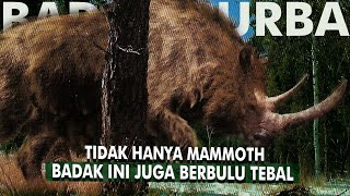 Badak Purba Dari Zaman Es Yang Pernah Menjadi Hewan Mitos | Woolly Rhinoceros/Badak Berbulu