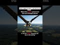 It still flies higher #viral #trending #shorts #shortsfeed #shortsviral