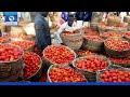 Problems Of Tomato Farming In Nigeria, And How To Overcome Them - Analyst