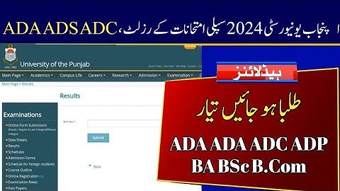 Result of ADA ADS ADC ADP 2024 Supply Exams from Punjab University | PU BA BSc B.Com Supply Result