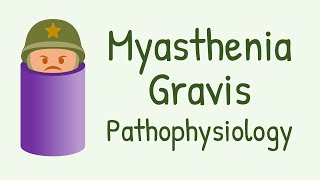 Pathophysiology of Myasthenia Gravis