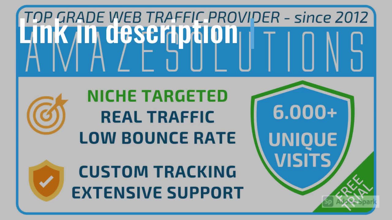 I will bring real visitors, targeted web traffic