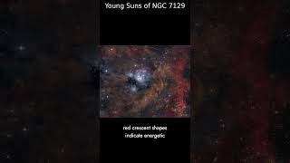 Young Suns of NGC 7129 | NASA APOD 2025-10-16 #Shorts Young Suns of NGC 7129 | NASA APOD 2025-10-16 #Shorts