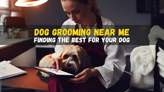 Dog Grooming Near Me: Find the Best Groomer