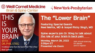 This Is Your Brain webinar: The spine, your "lower brain"