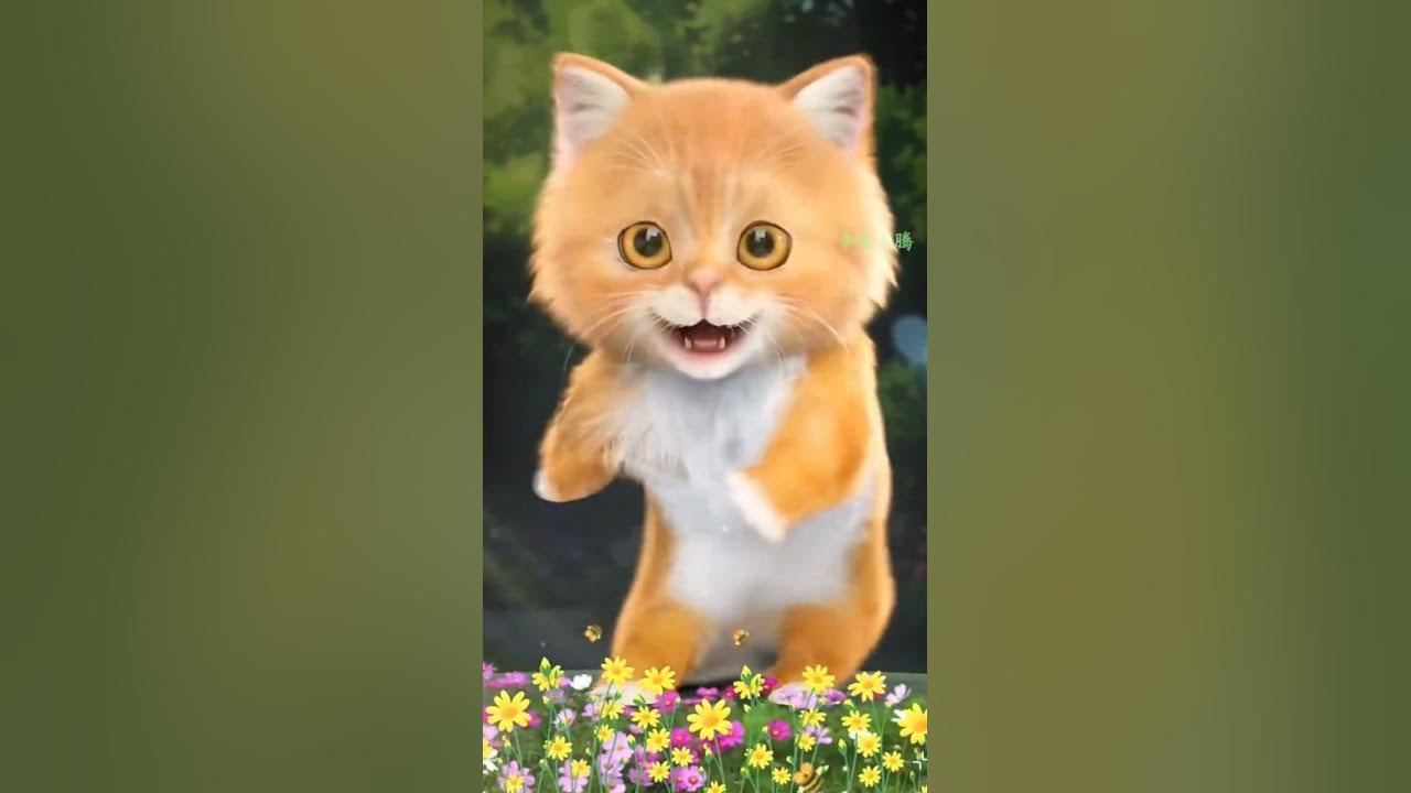 Lovely cat sing song la la la YouTube