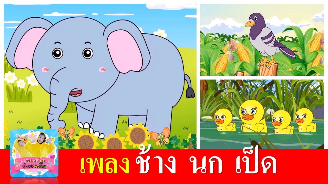 เพลงเด็ก ช้าง นก เป็ด | ช้างช้างช้าง | นกเขาบินข้ามเขา | เป็ดอาบน้ำในคลอง