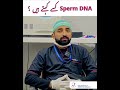 Male Fertility Expert #fertilityjourney Mir Institute of Fertility and Care