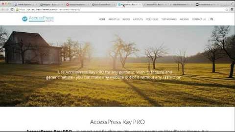 AccessPress Ray Pro - How to Add Call to Action with Form and Blog Section | WordPress Tutorial