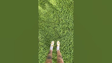 Clover lawns: trendy or worth it? ☘️🍀 #clover #cloverlawn #lawn #landscape #garden #diy #home #yard