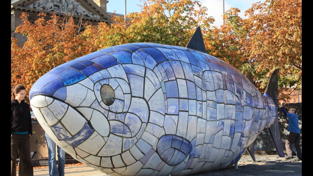 Salmon of Knowledge  || Irish Folktale