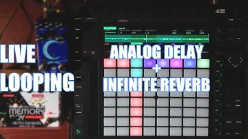 Ableton Live Looping Performance | Infinite Reverb | Analog Delay