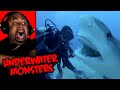 Giant Great White Shark Eaten By MONSTER Mystery Finally Solved Reaction!