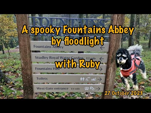2023-10-27-A spooky Fountains