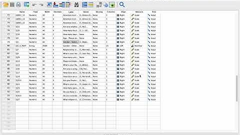 Making an APA Style Table in SPSS
