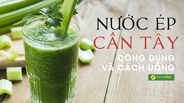 Công dụng của NƯỚC ÉP CẦN TÂY và CÁCH UỐNG NƯỚC ÉP CẦN TÂY sao cho DÁNG KHỎE, ĐẸP DA