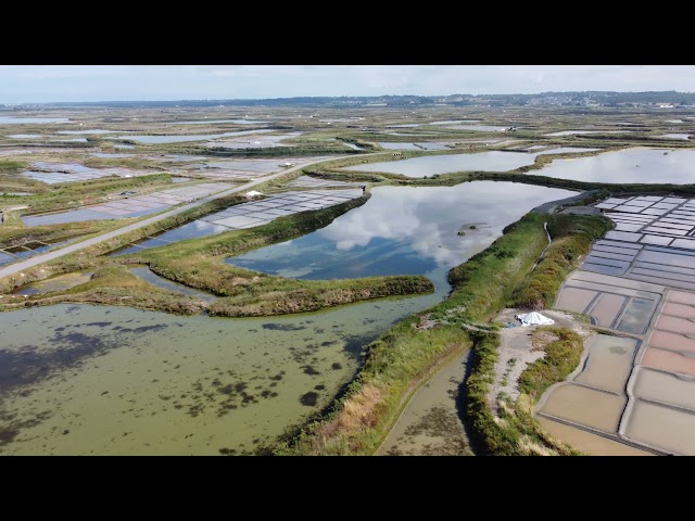 Marais Salands de Guérande (44)