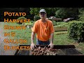Potato Harvest Grown in 5 Gallon Buckets
