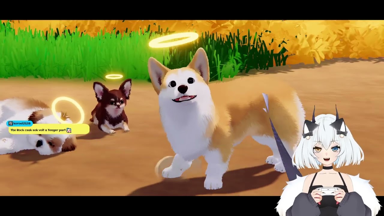 my little puppy végigjátszás 