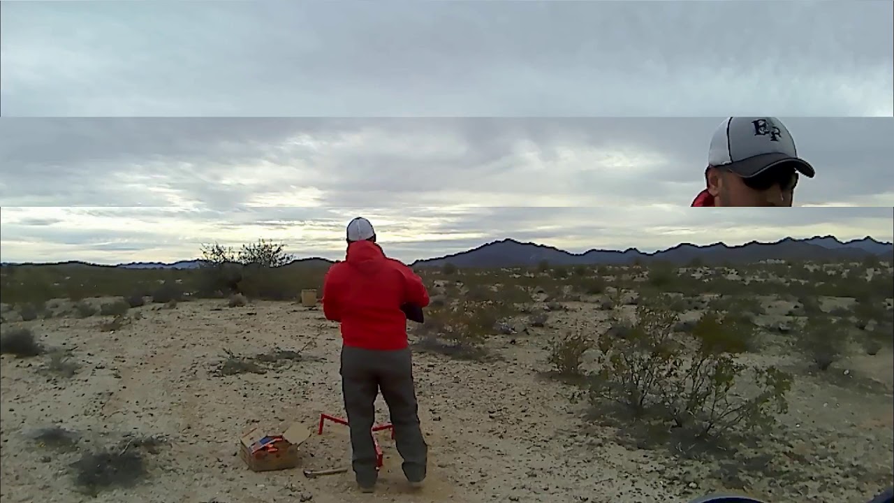 TriStar Setter 12 Gauge Shotgun