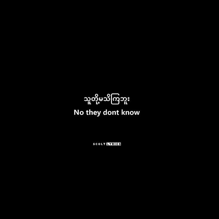 Happy - Skinnyfabs (Mmsub Lyrics Overlay)