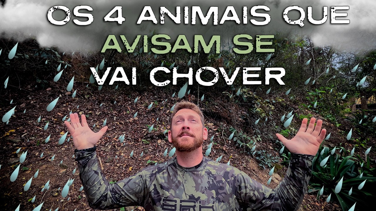 Esses 4 Animais Sabem e Avisam Quando Vai Chover  - Eles Preveem a Chuva !