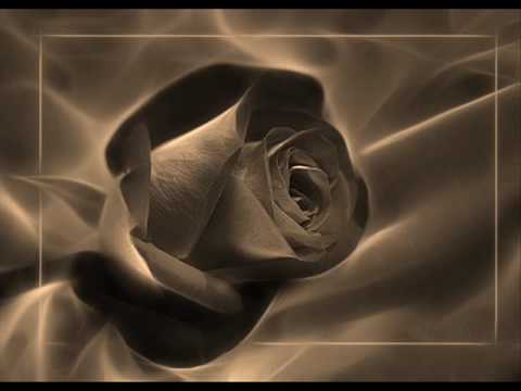 Rosa Blancas II/ White Roses II/Instrumental. RELAX