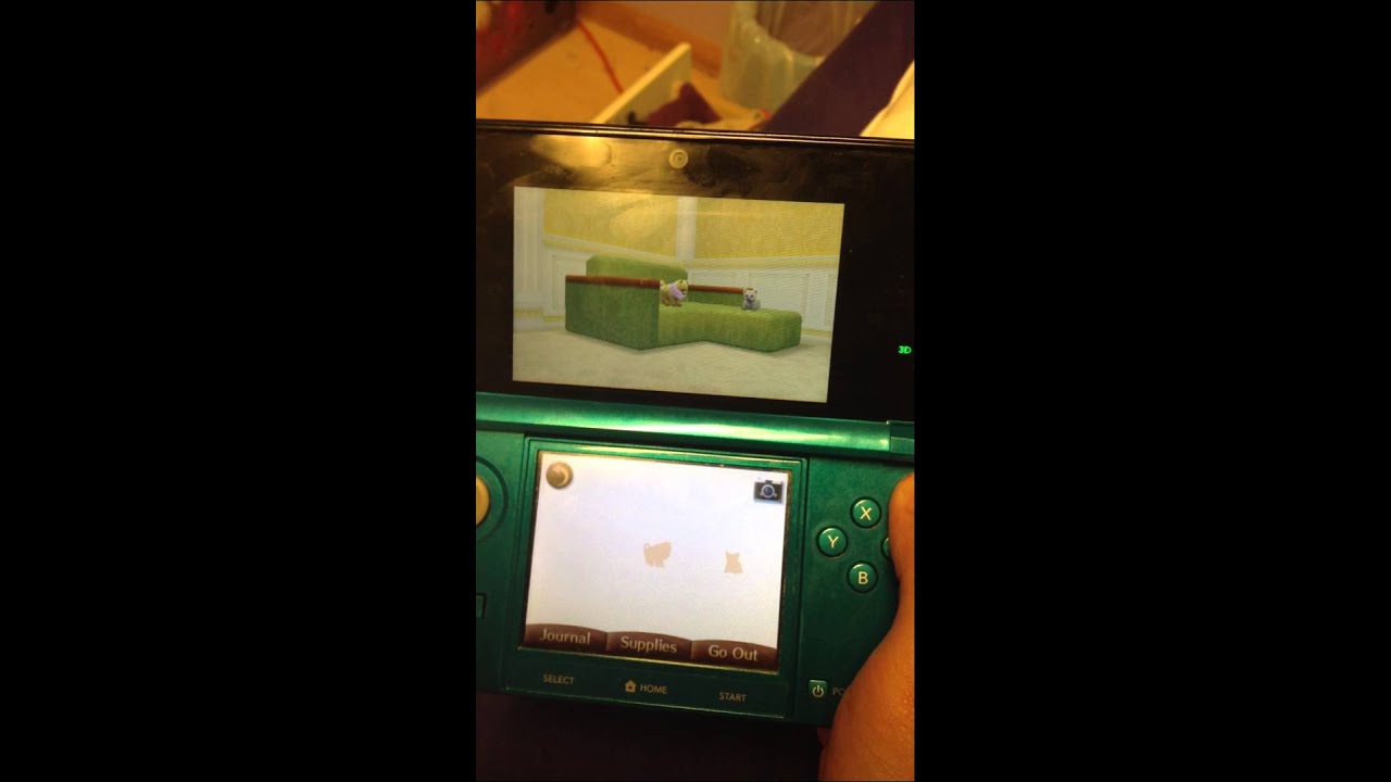 Nintendogs Plus Cats Bonus: Do My Dogs Remember Their Names?