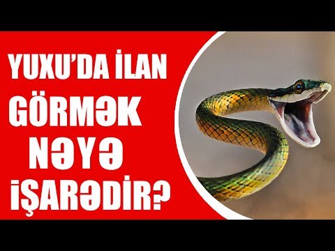 Video: Nə Ilanlar öz Quyruğunu Dişləyir?