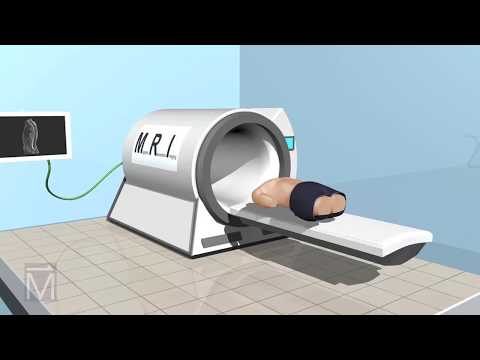 See-Thru Science: How MRI Machines
